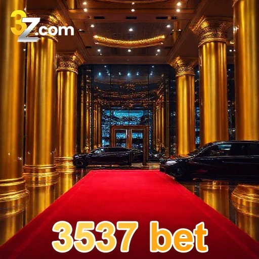3537 bet Confiavel